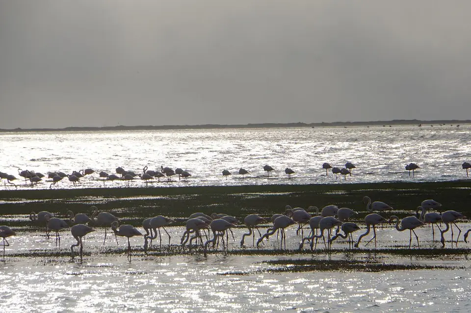 k-2017-09-06cSandwichHarbourWalvisBay120.JPG