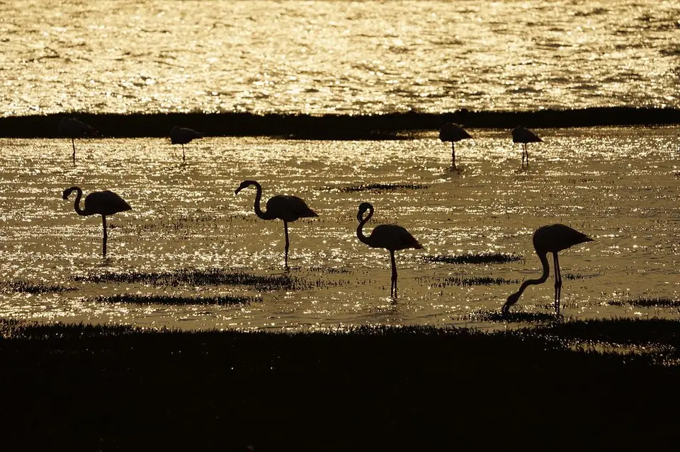 k-2017-09-06cSandwichHarbourWalvisBay126.JPG