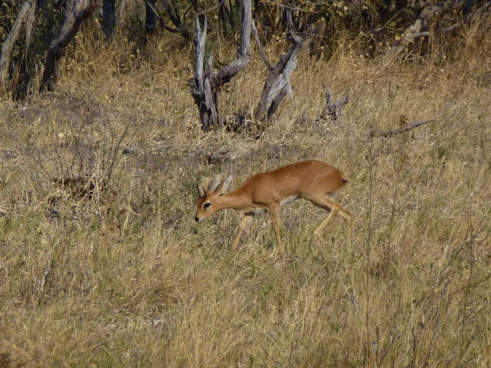 P1090260.jpg