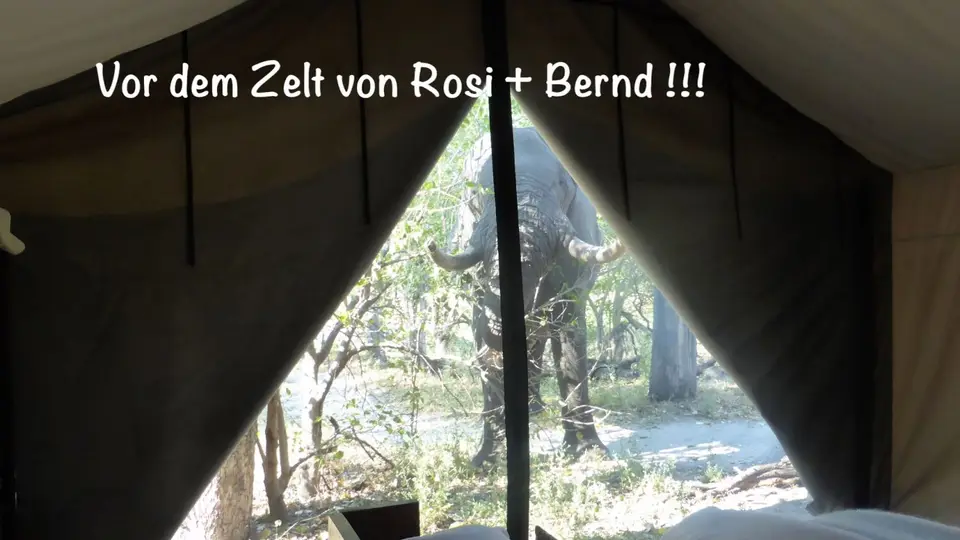 elezelt.jpg