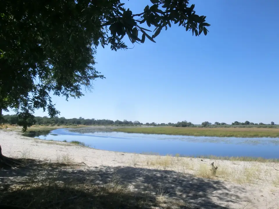 CIMG0133.JPG