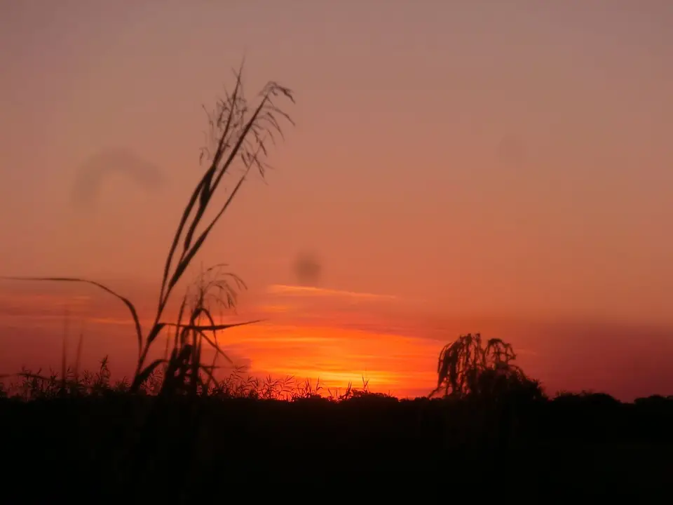 CIMG0171.JPG