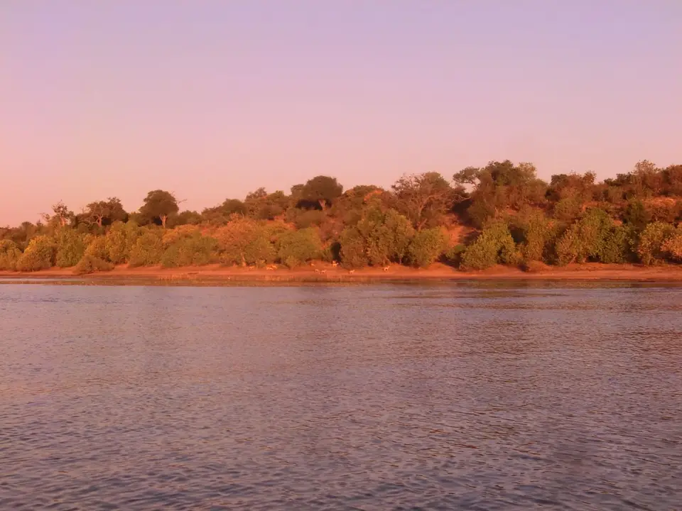 CIMG0612.JPG