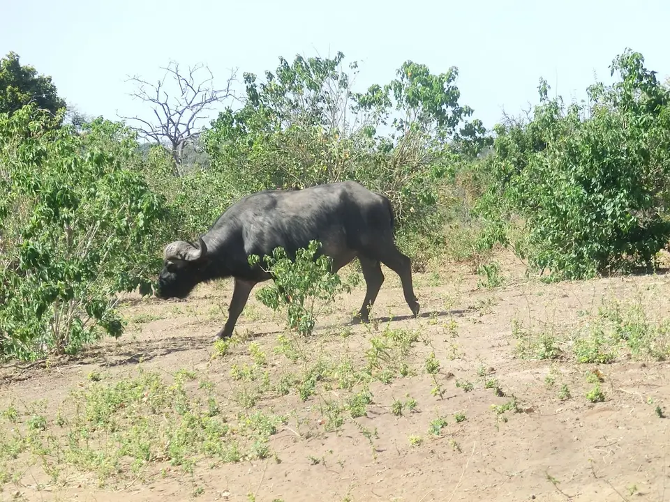 CIMG0766.JPG