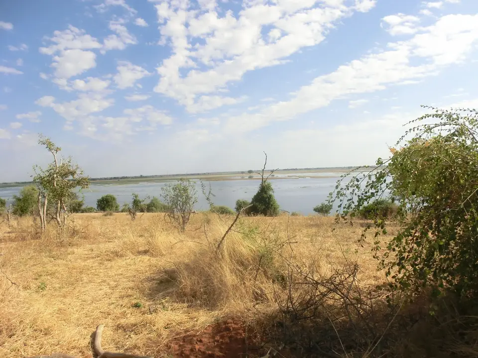 CIMG0890.JPG