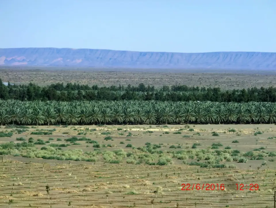 CIMG5288.JPG