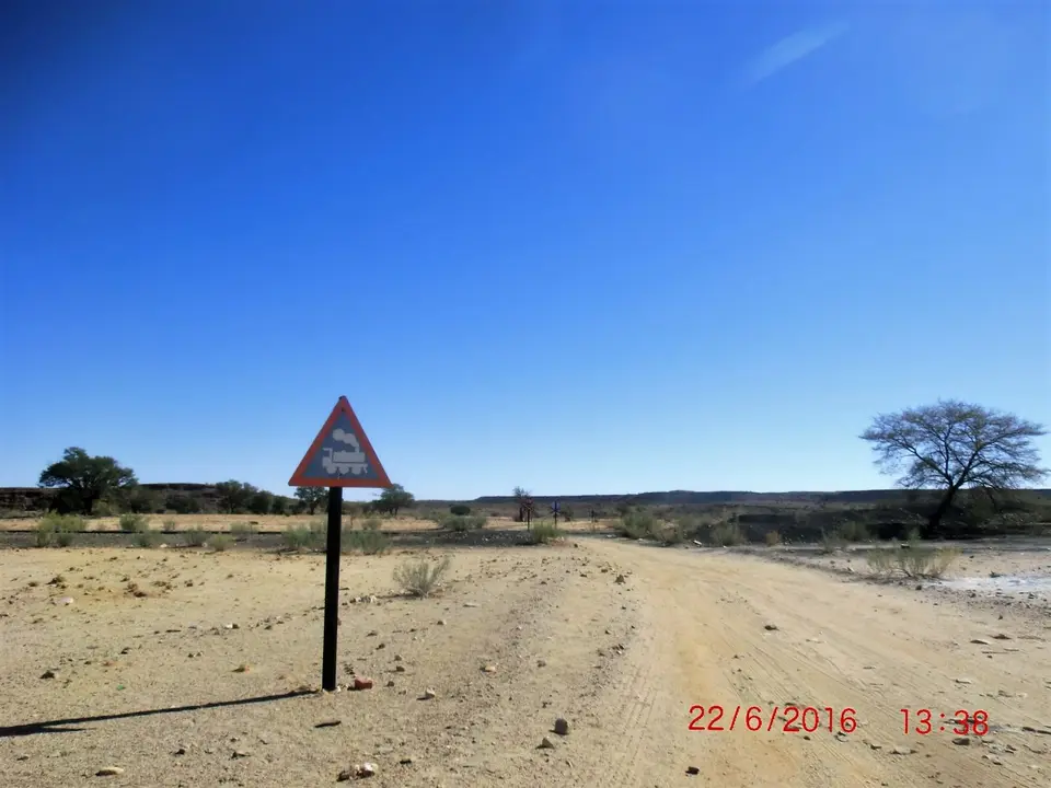 CIMG5303.JPG