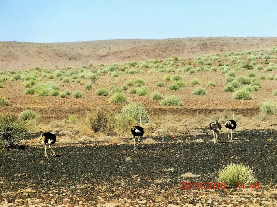 CIMG5317.JPG