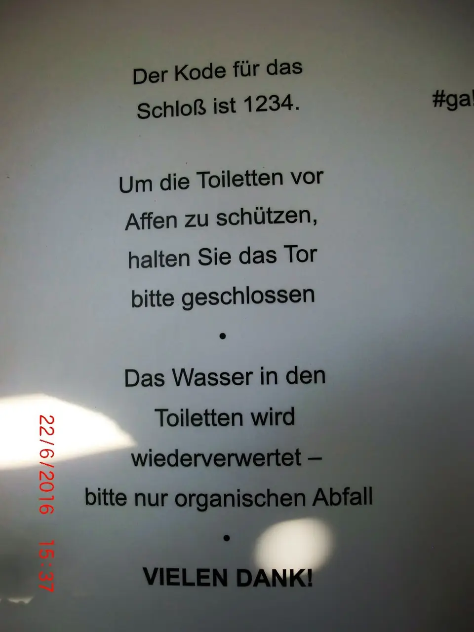 CIMG5333-2.JPG