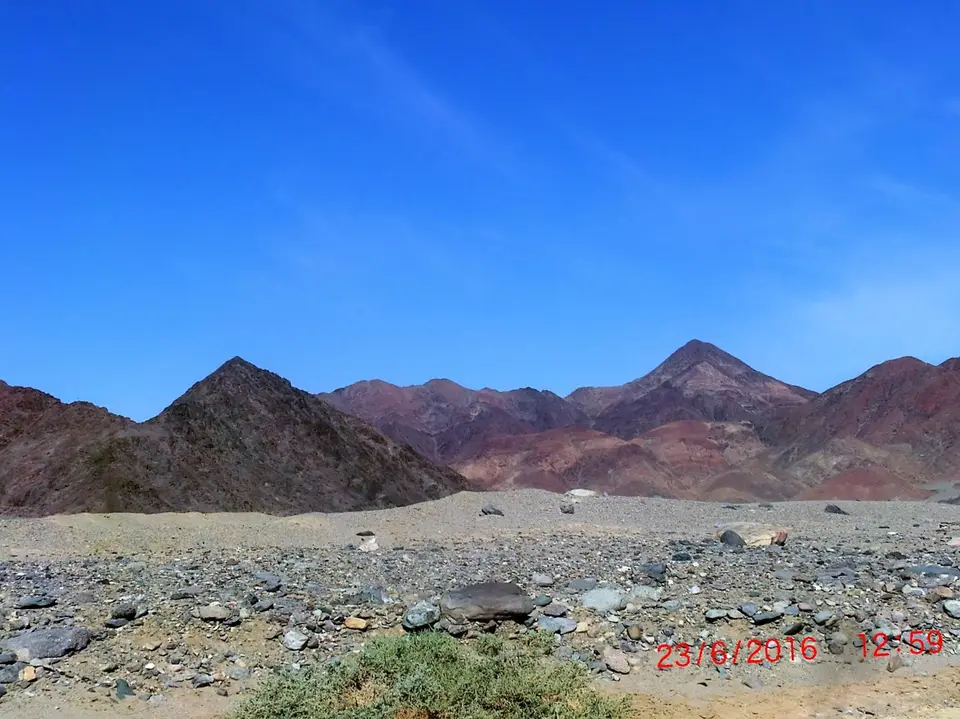 CIMG5481.JPG