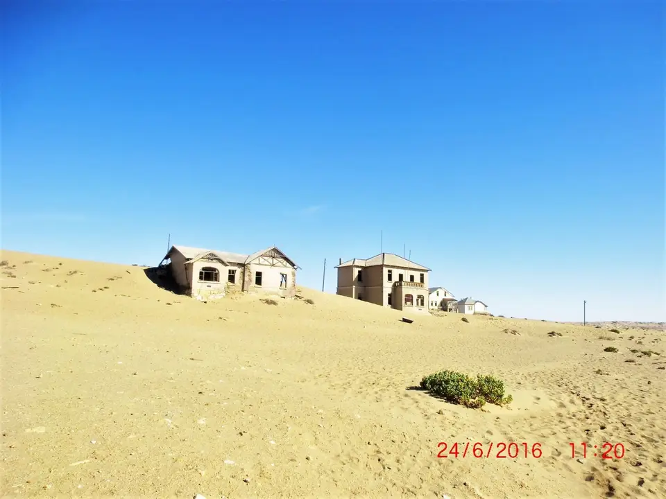 CIMG5585.JPG