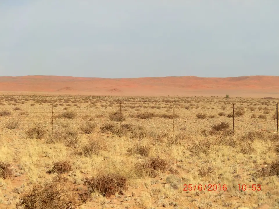 CIMG5696.JPG