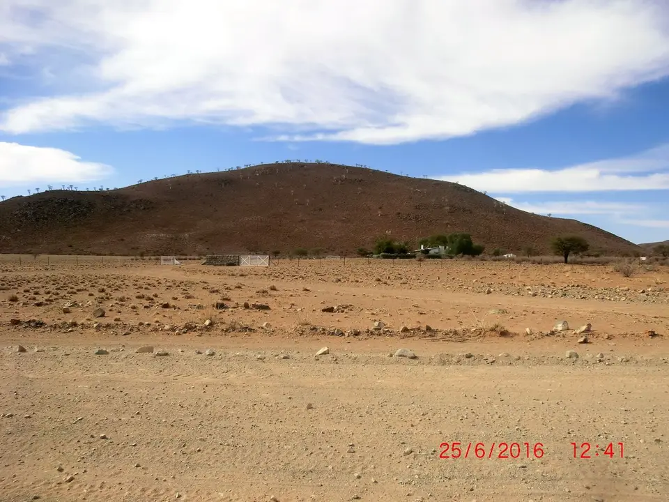 CIMG5707.JPG