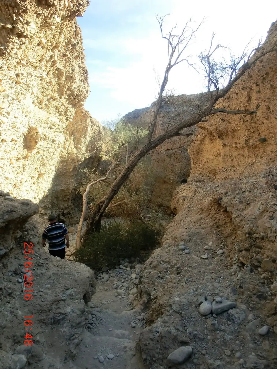 CIMG5730.JPG