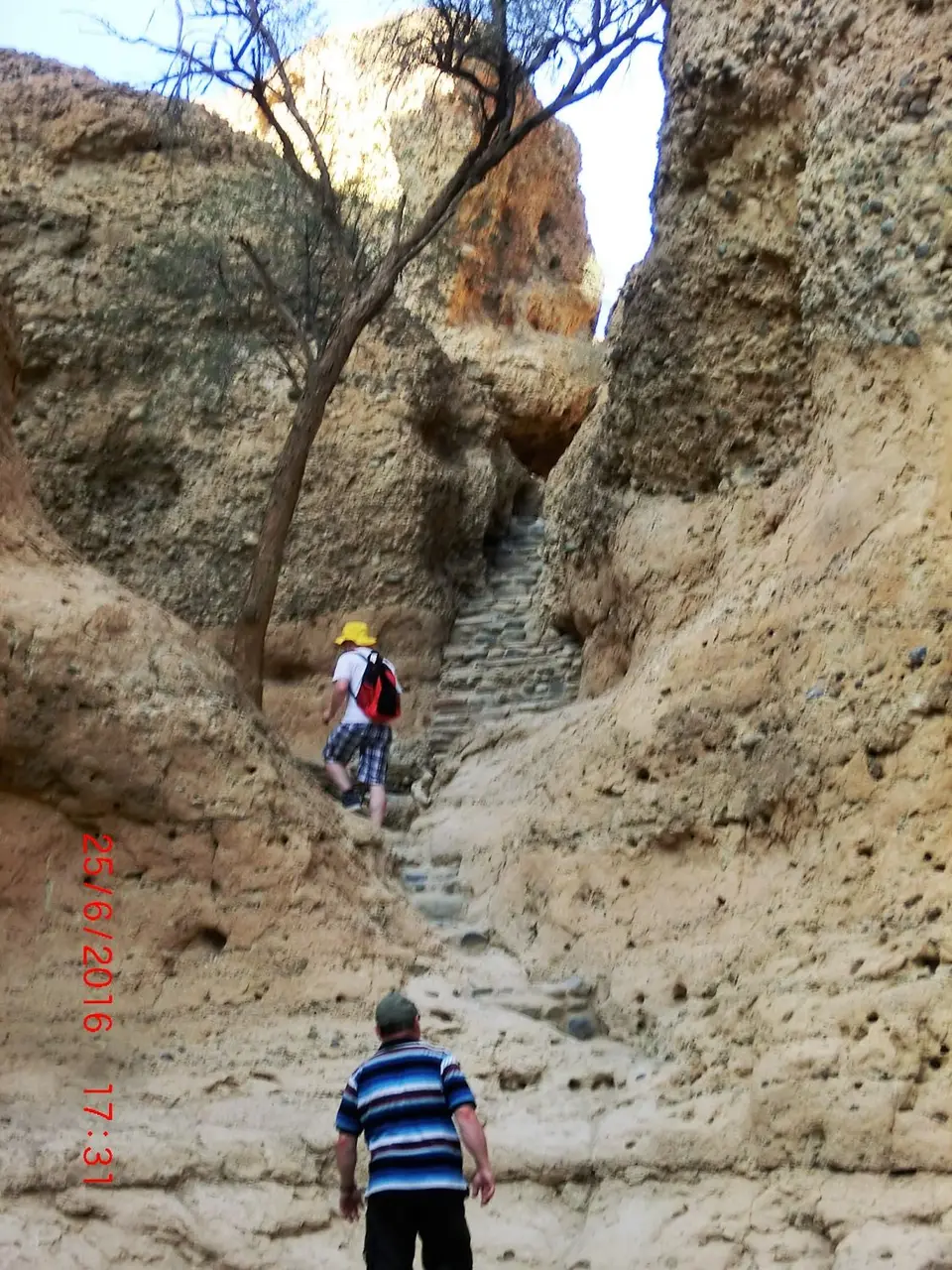 CIMG5753.JPG
