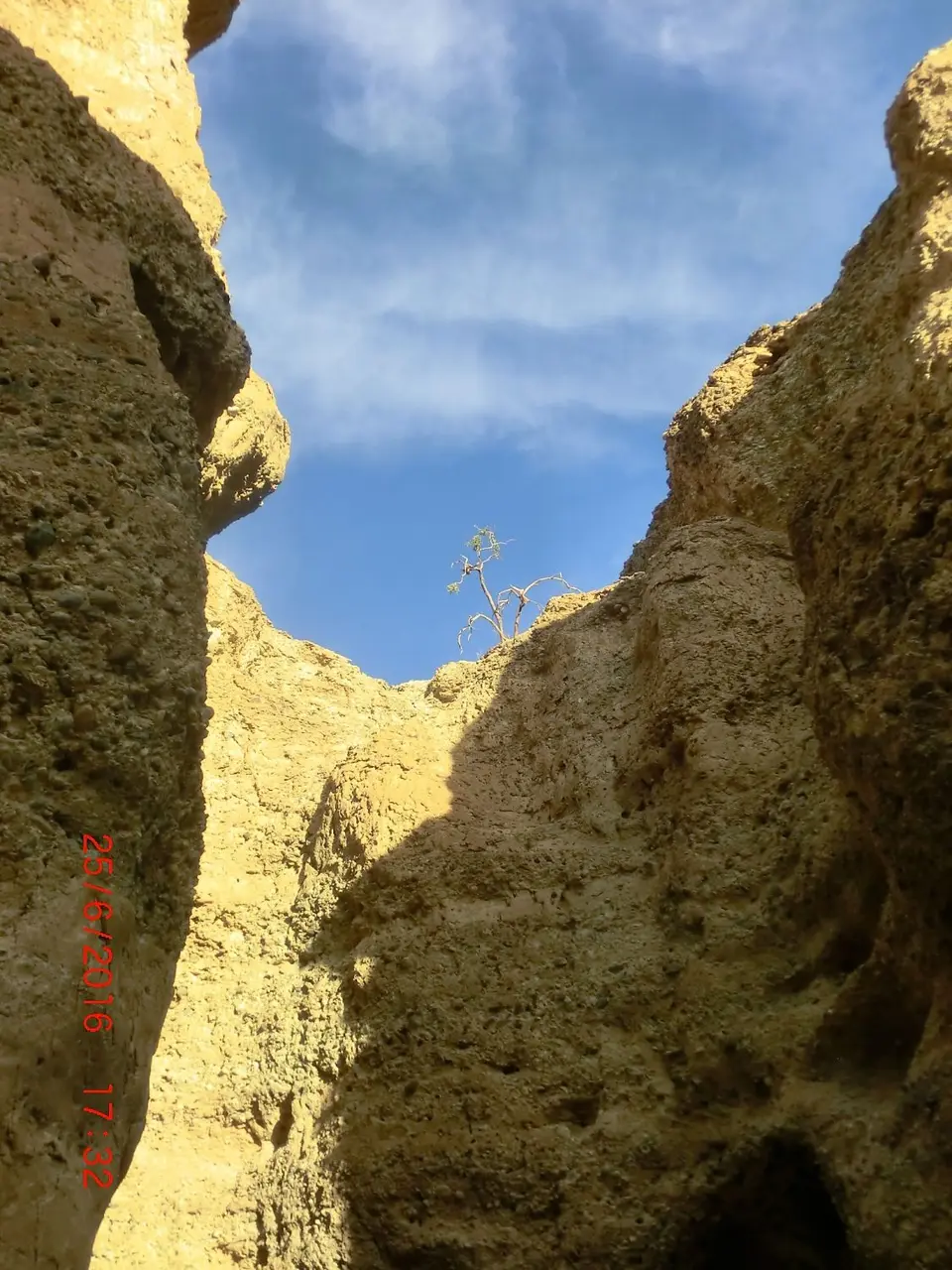 CIMG5754.JPG