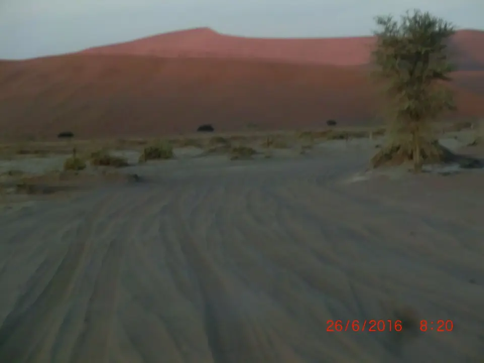 CIMG5793.JPG