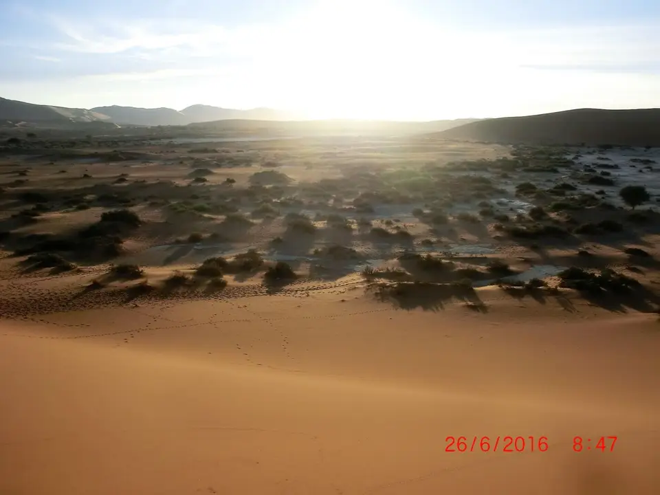 CIMG5801.JPG
