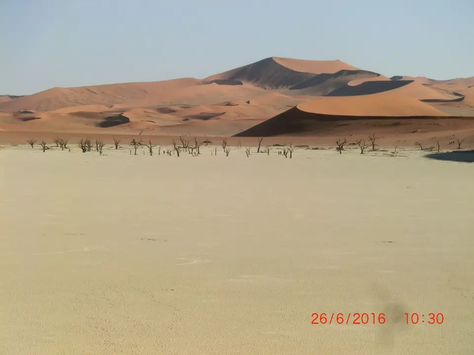 CIMG5827.JPG