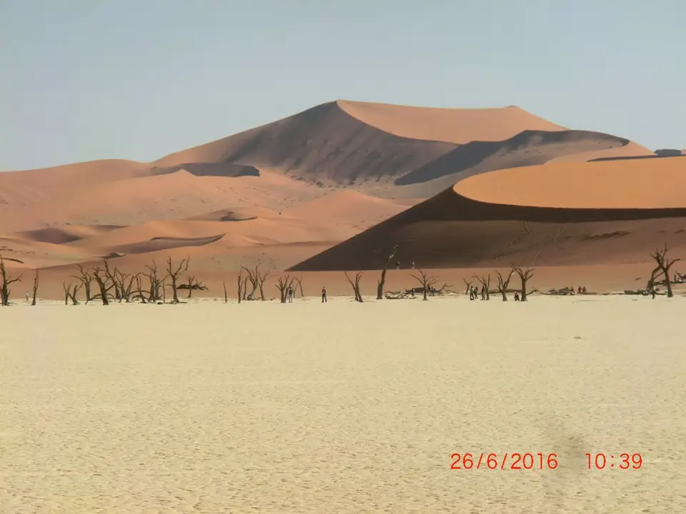 CIMG5830.JPG