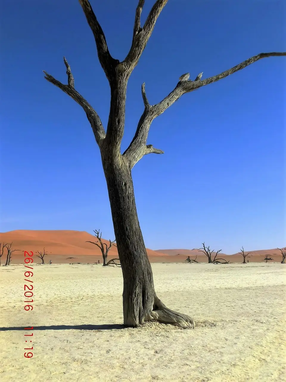 CIMG5852.JPG