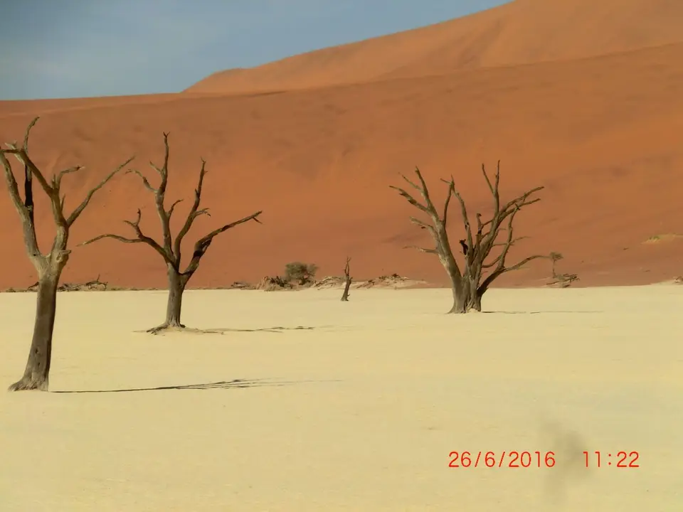 CIMG5856.JPG