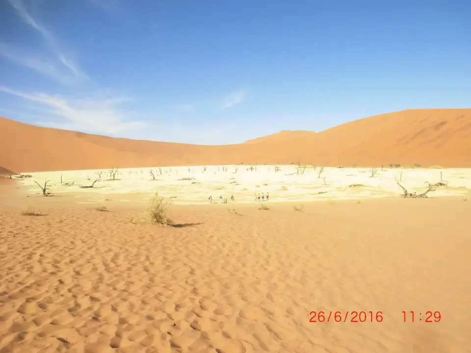 CIMG5861.JPG