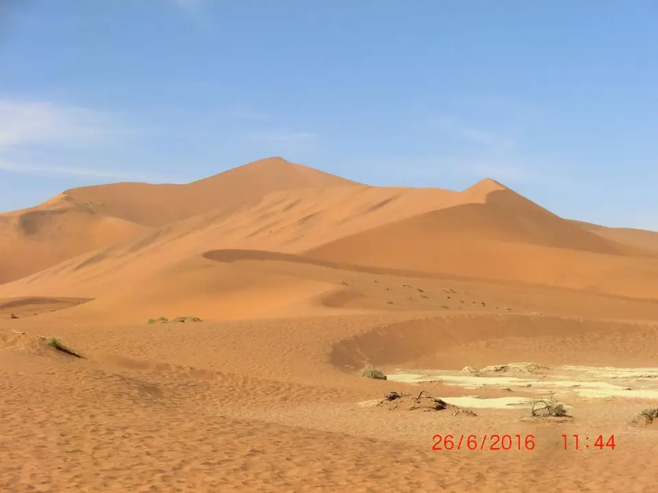 CIMG5863.JPG