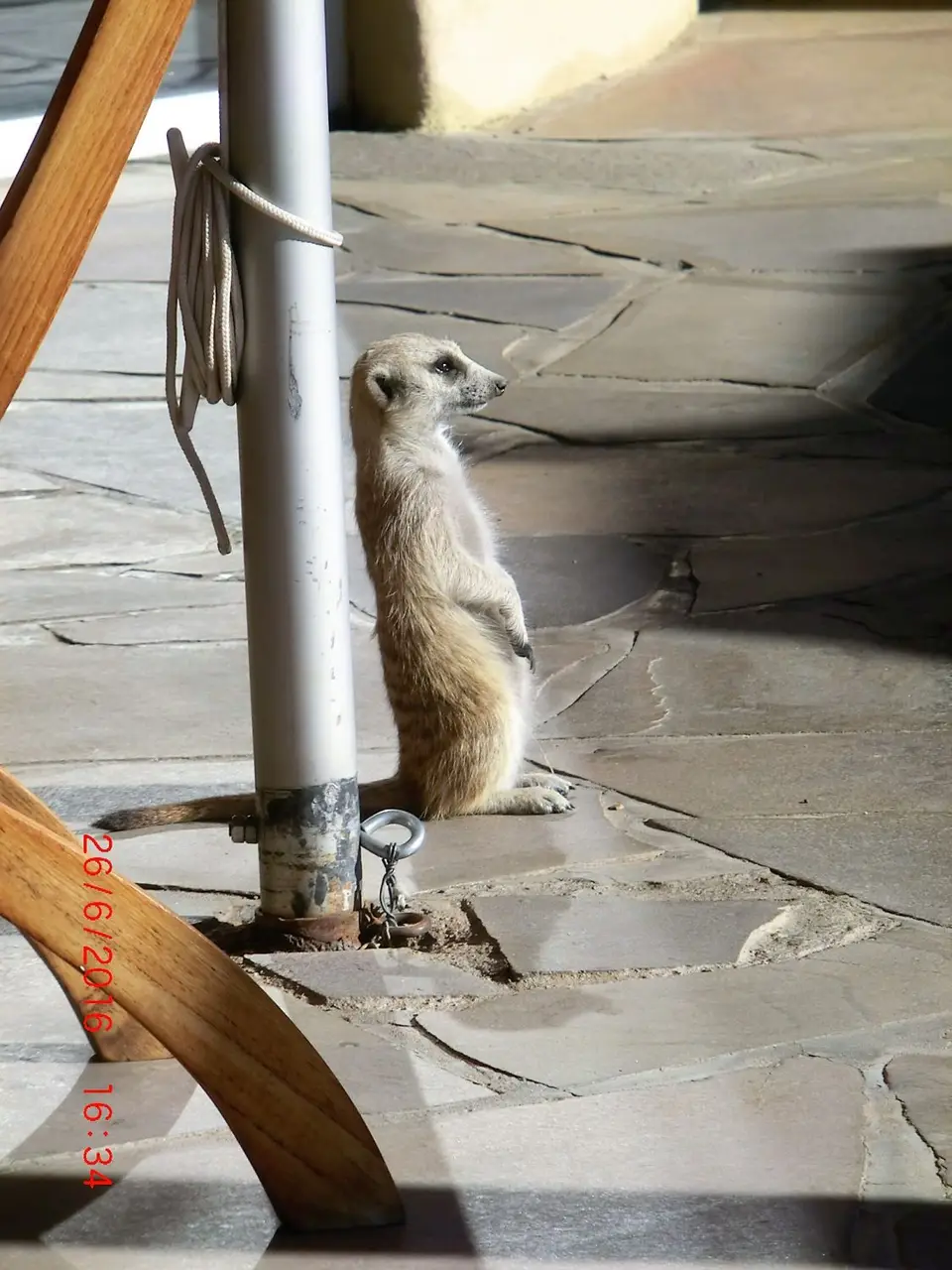 CIMG5892.JPG