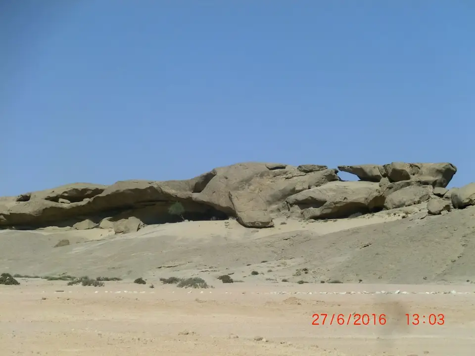 CIMG5960.JPG