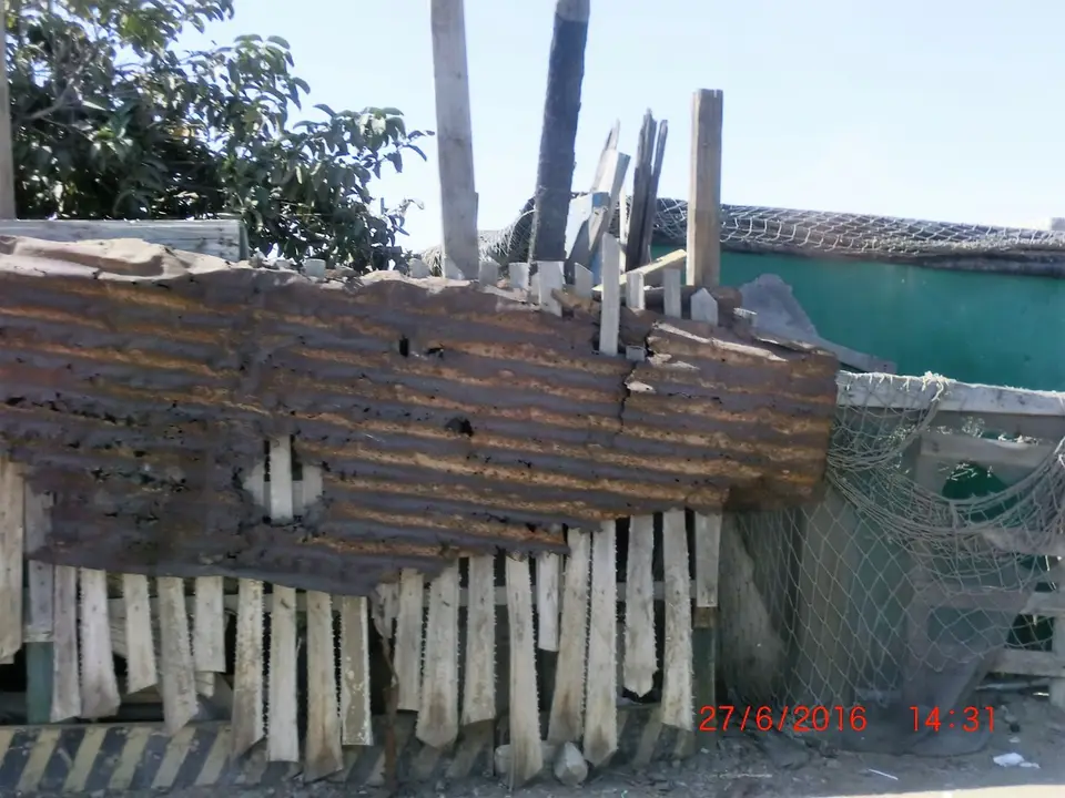 CIMG5996.JPG