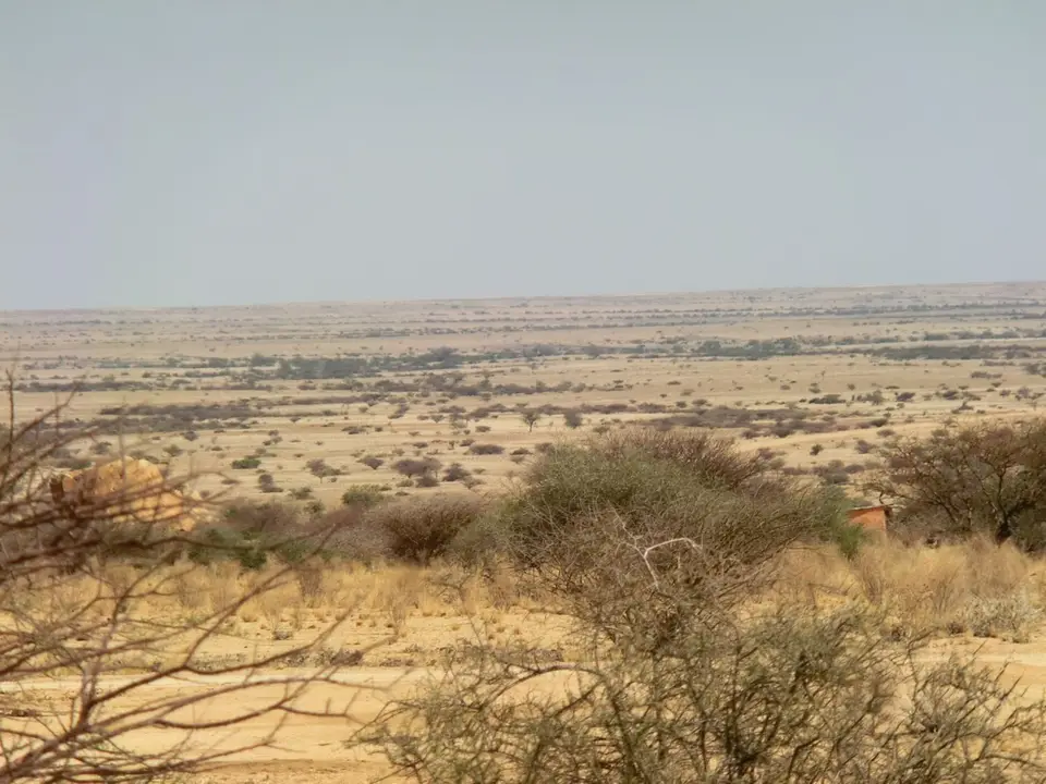 CIMG6090.JPG