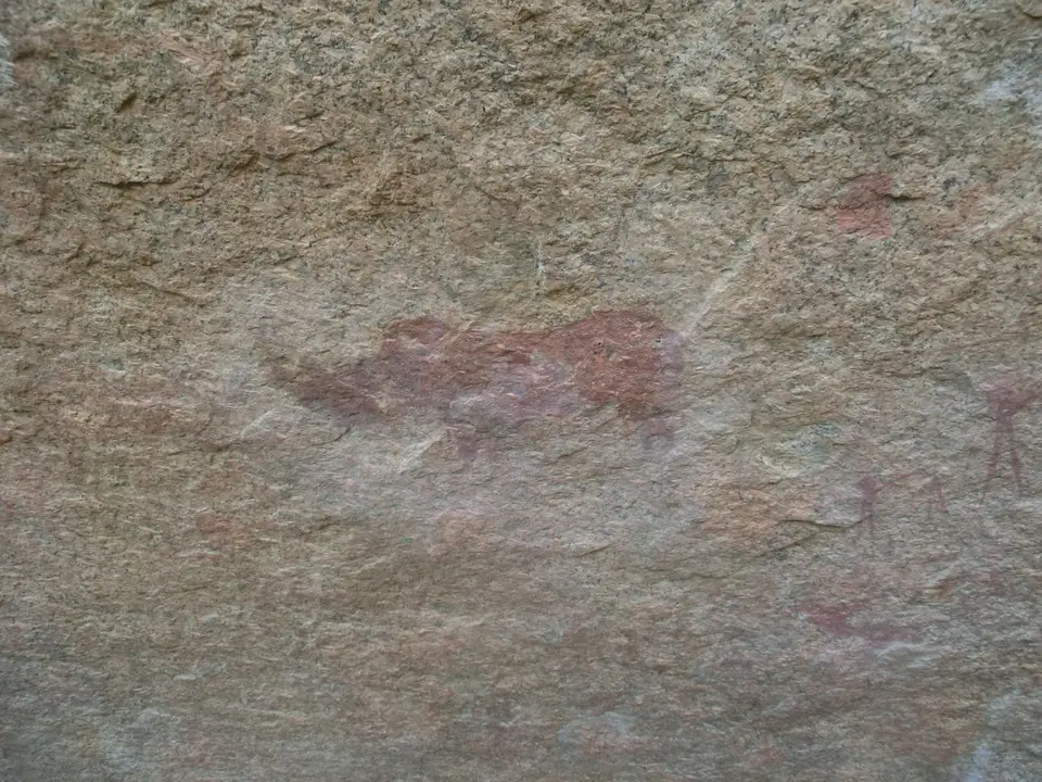 CIMG6132.JPG