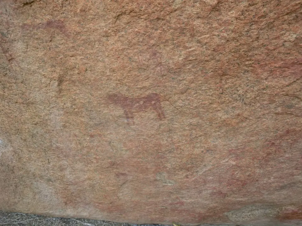 CIMG6135.JPG