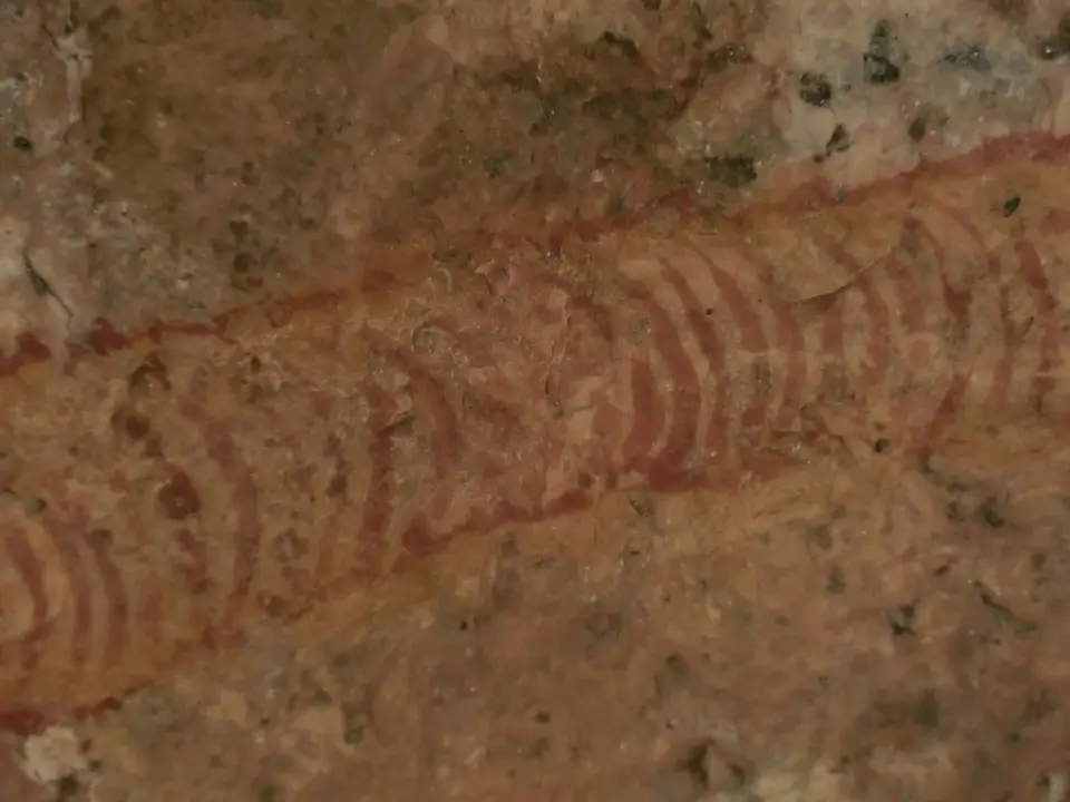CIMG6149.JPG