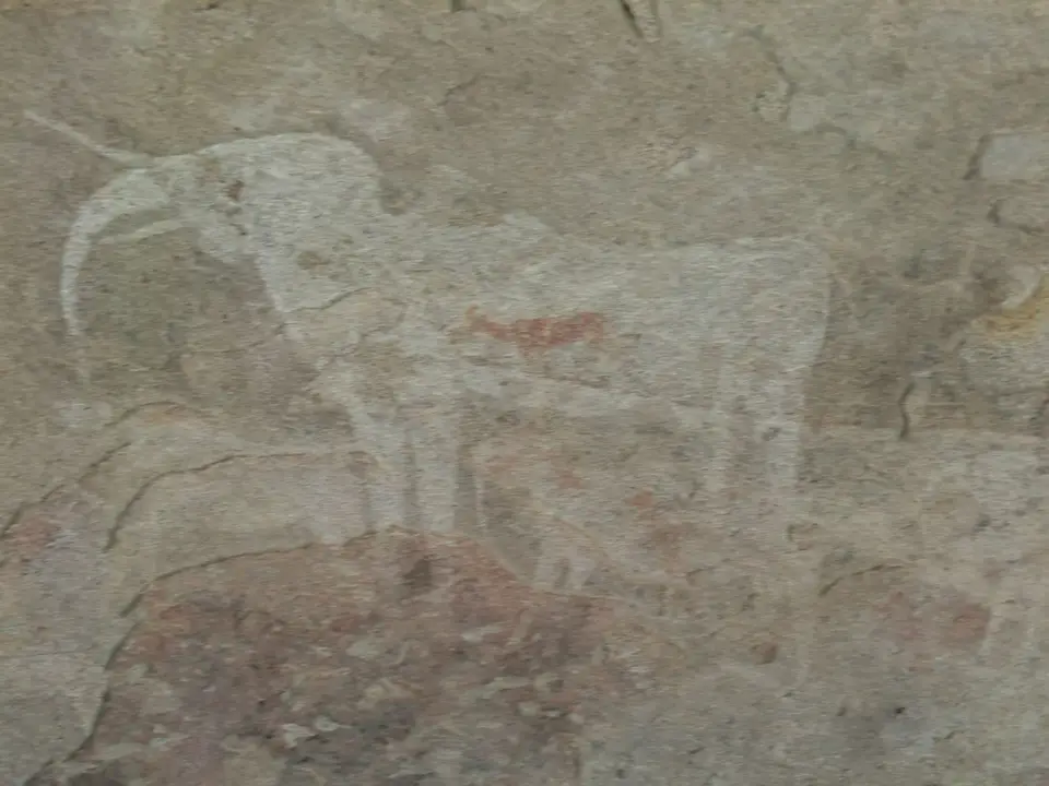 CIMG6294.JPG