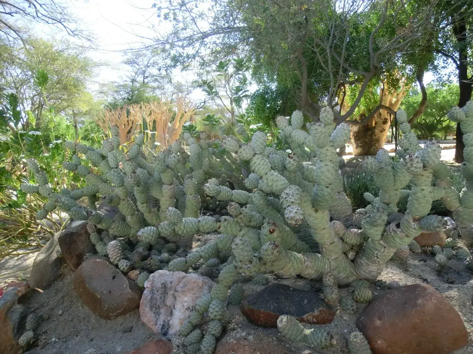 CIMG6347.JPG