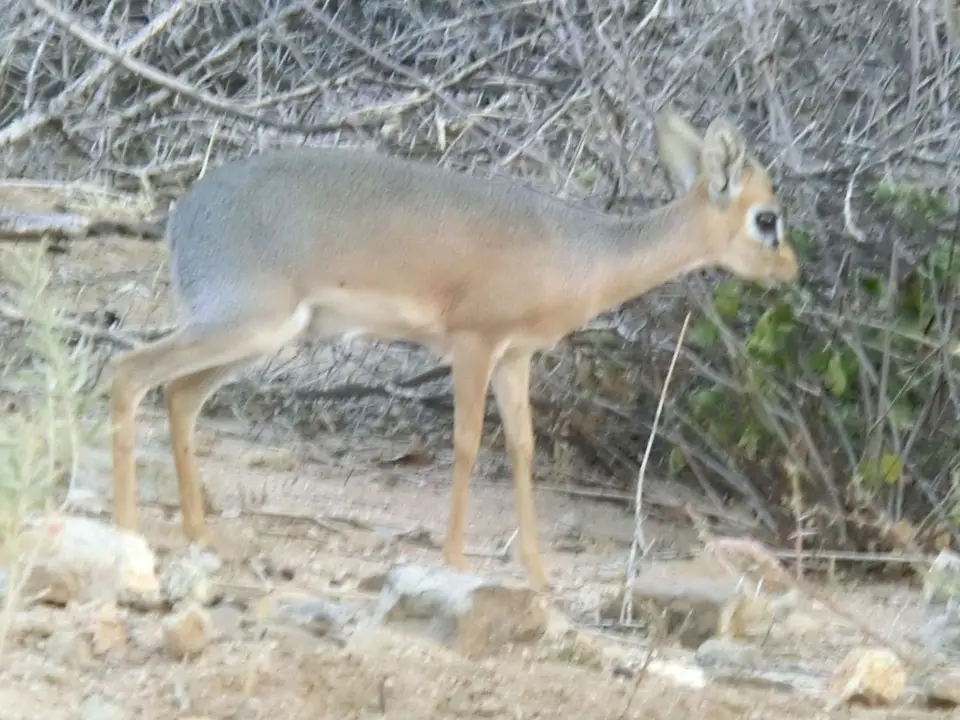 CIMG6367.JPG