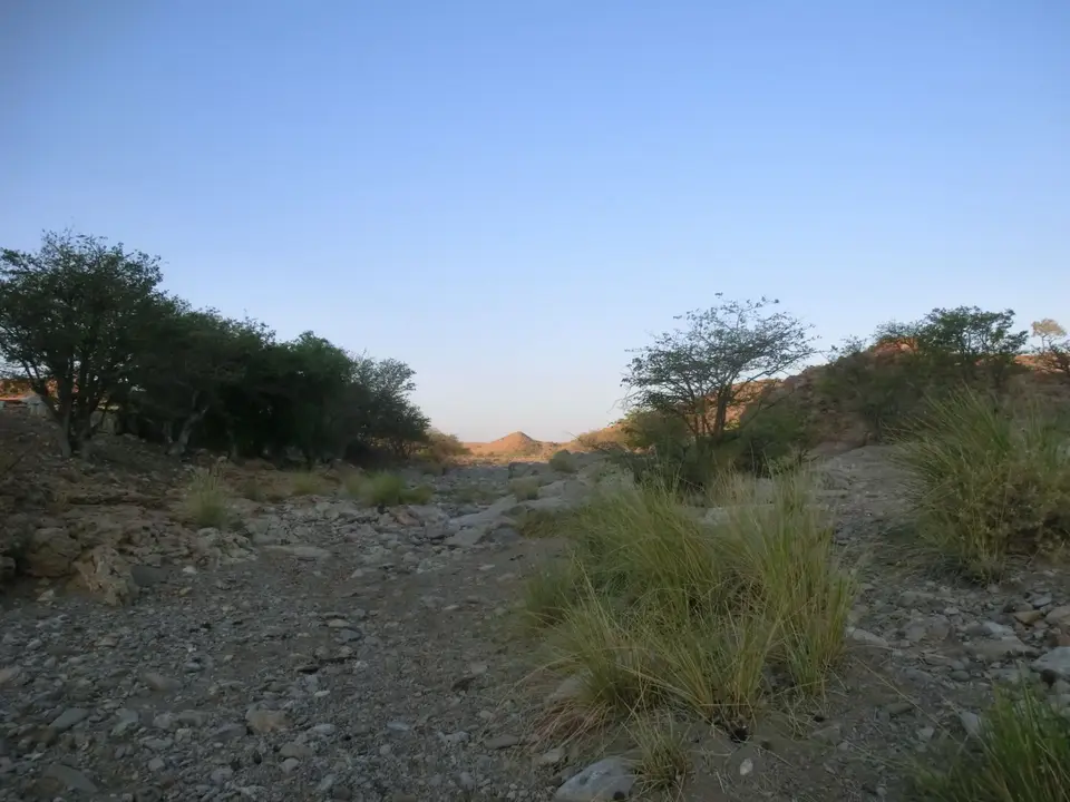 CIMG6468.JPG