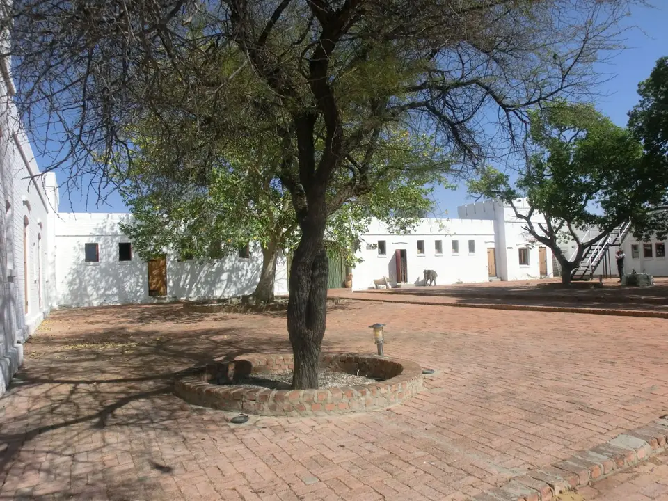 CIMG7132.JPG