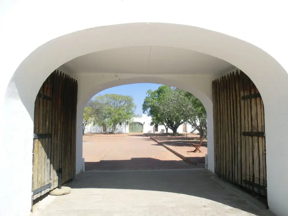 CIMG7144.JPG