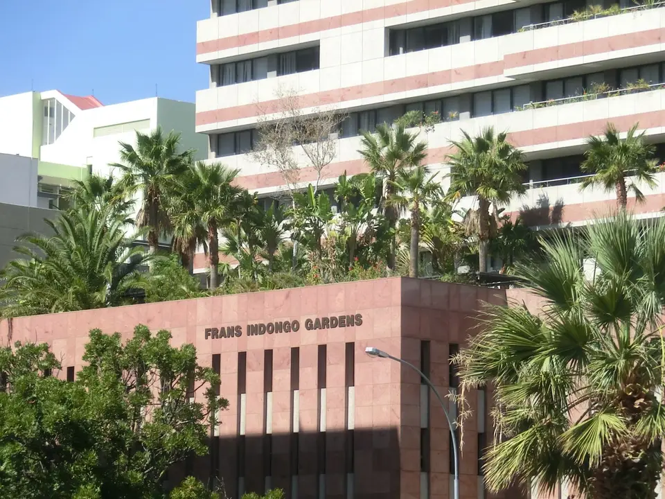 CIMG7336.JPG