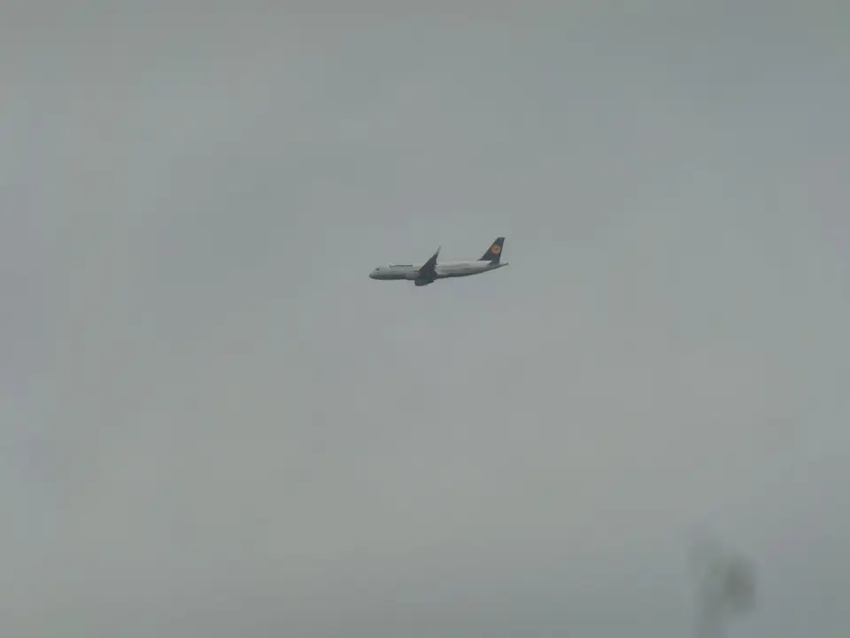 CIMG7369.JPG
