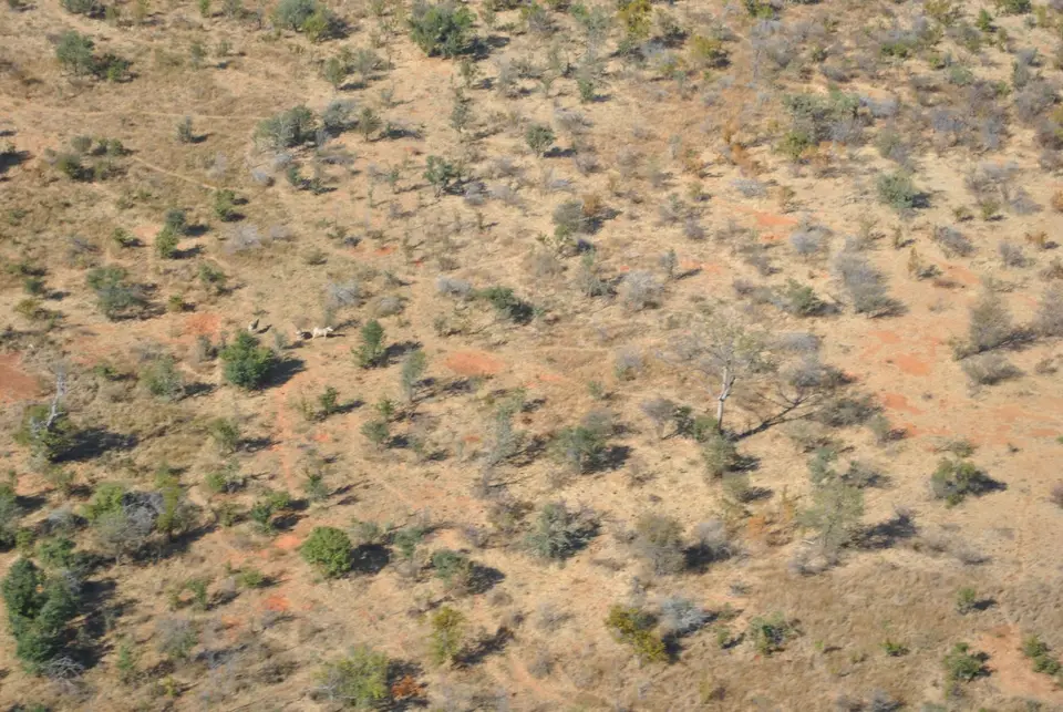 DSC_3122.JPG