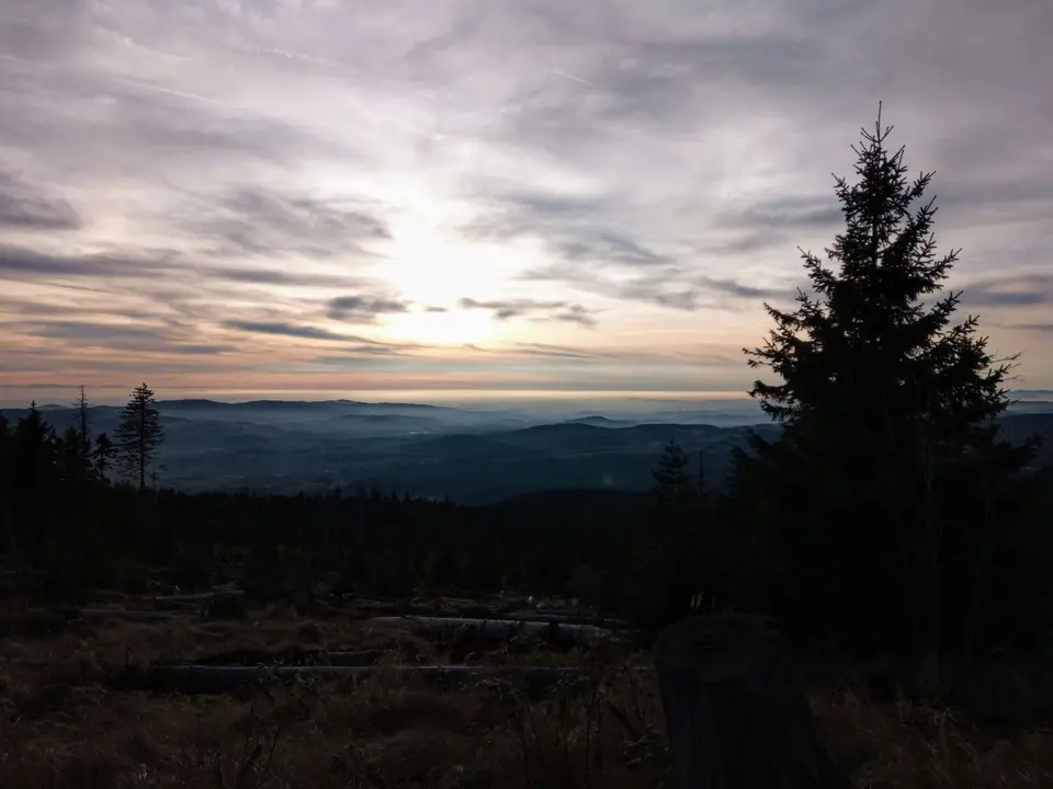 IMG_20201020_171213_373.jpg