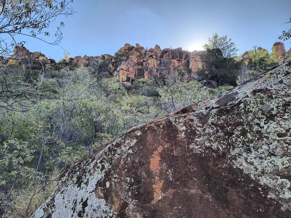 IMG_20250616_145207437_HDR.jpg