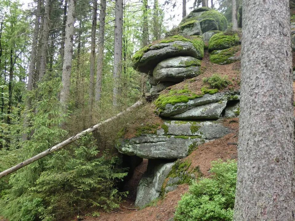 P1030445.JPG