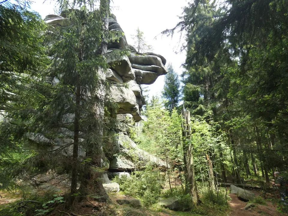 P1030550.JPG