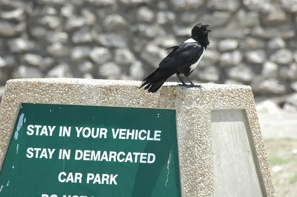 hd7e4e73.jpg