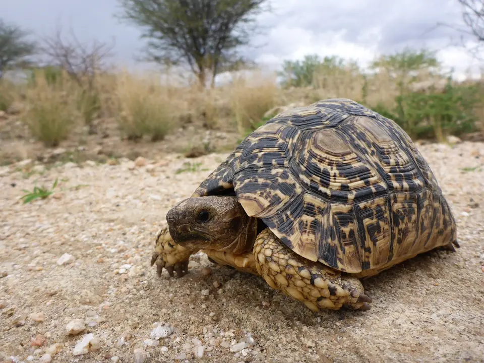 namibia-2018-02-10-03.jpg